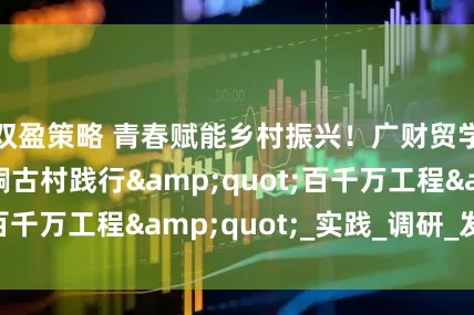 双盈策略 青春赋能乡村振兴！广财贸学子赴连山蒙峒古村践行"百千万工程"_实践_调研_发展