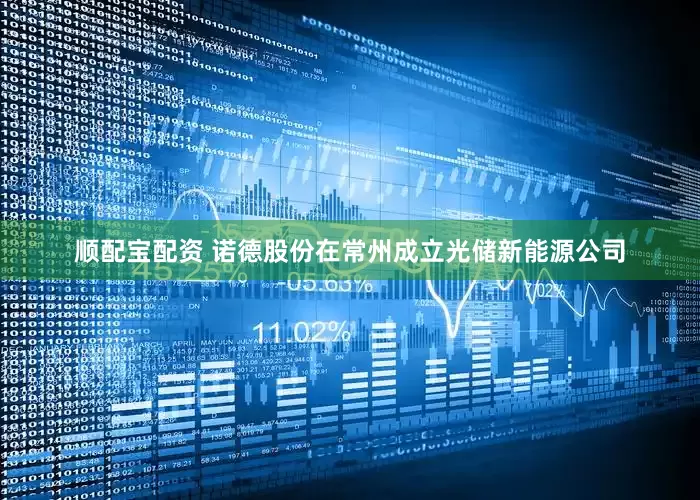 顺配宝配资 诺德股份在常州成立光储新能源公司